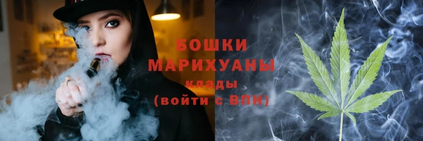 PSILOCYBIN Кодинск