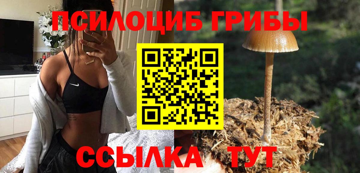 Галлюциногенные грибы Psilocybe  Назарово 
