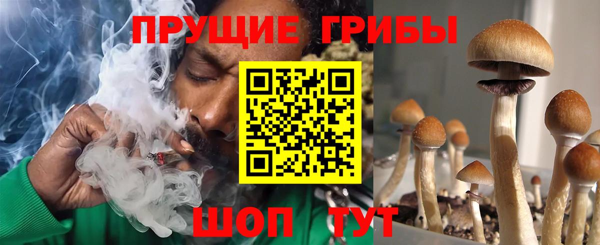 Назарово  Псилоцибиновые грибы Cubensis  Вход с VPN 